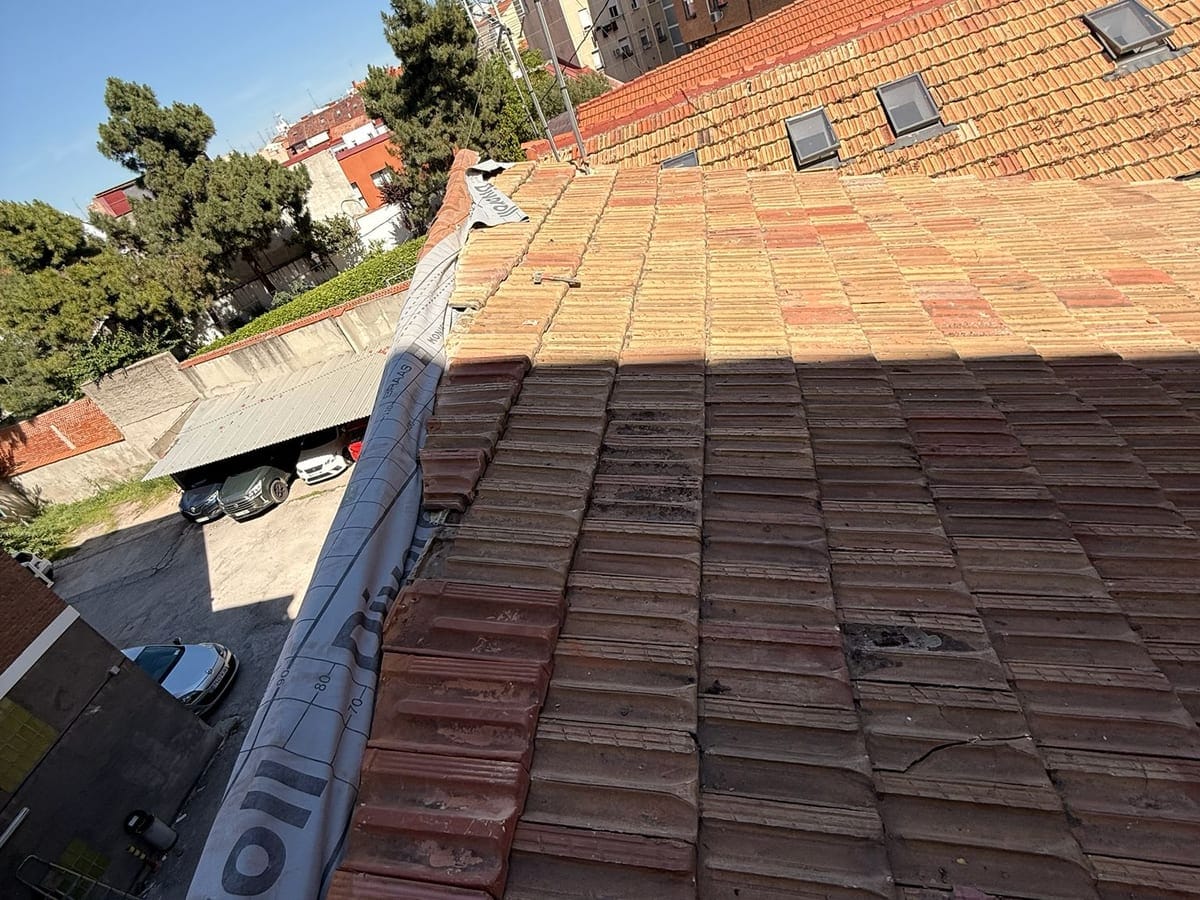 Proyecto destacado